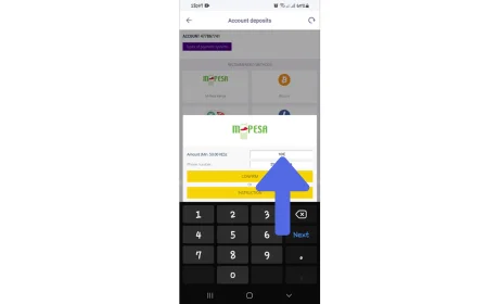 How to Deposit In-App Helabet step 5