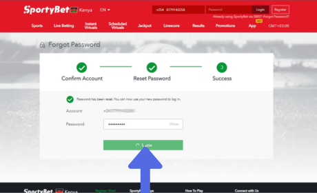 SportyBet's Password Recovery step 3